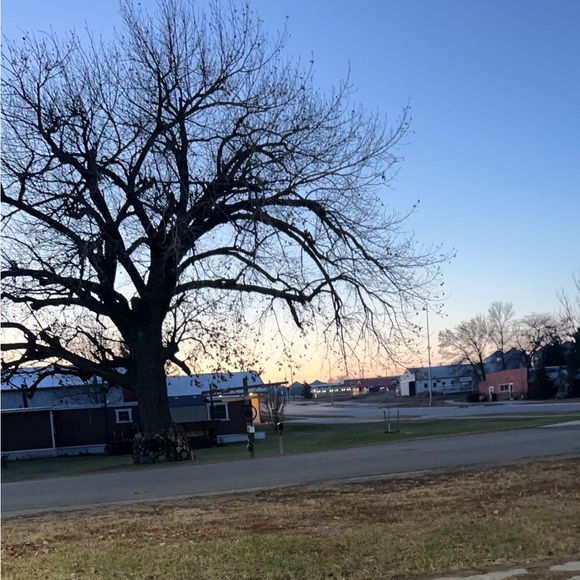 Meet your Posher, Emily - Picture 1 of 1